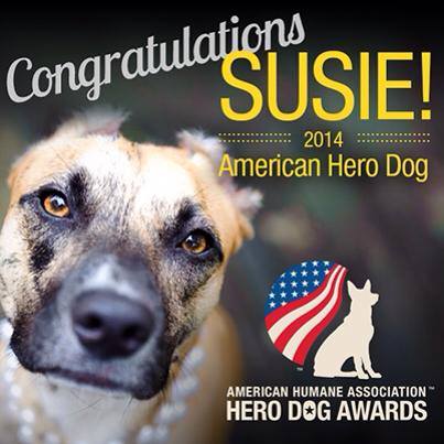 Susie's Hope - susies law dog hero award