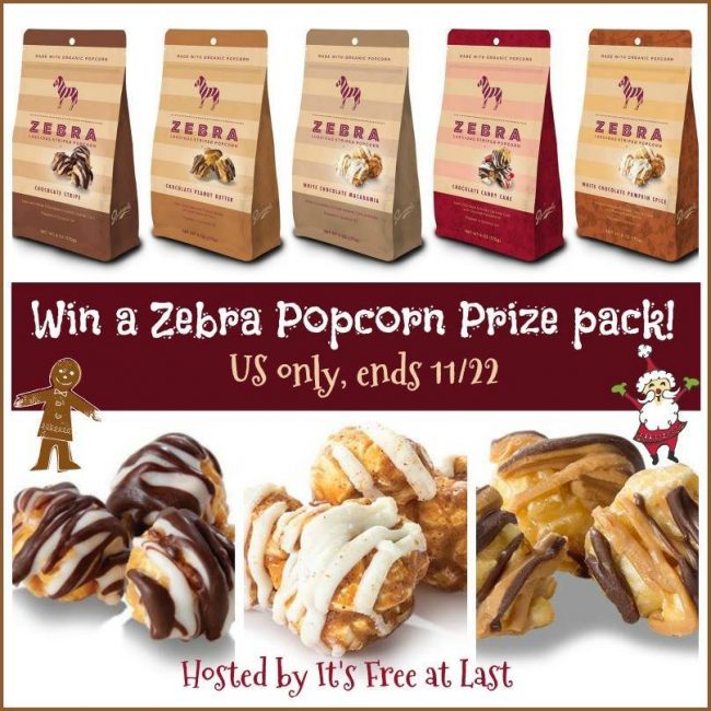 Popcornopolis Zebra Prize Pack Giveaway