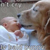 No Grumpy Cat but Pet Lover's Delight for  Your Viewing Pleasure