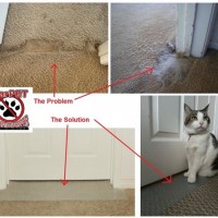 CarPET Scratch Stopper Saves Your Carpets from Cat Claws