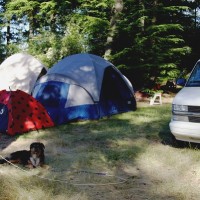 5 Things to Bring to your Next Family Get Together or Vacation