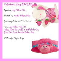 My Pillow Pets Giveaway - Two to One Winner