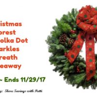 Christmas Forest 20 Inch Polka Dot Sparkles Wreath Giveaway