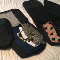 EatSmart Products Giveaway - 5 piece TravelWise Cubes and Digital Thermometer