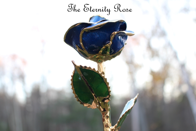 Eternity Roses Gold The Eternity Rose Review - Real Roses Glazed or Dipped in Gold, Silver ...