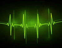 Fitness and Your Heart Rate