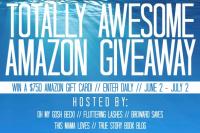 Totally Awesome Amazon Giveaway - $750 to be Won